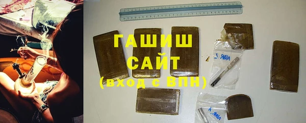 стаф Богданович