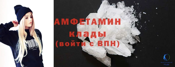 стаф Богданович