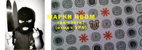 стаф Богданович