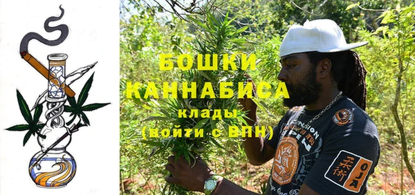 стаф Богданович