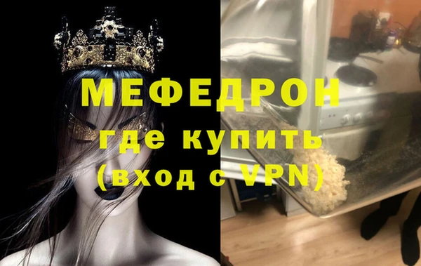 стаф Богданович