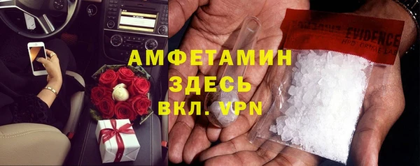 стаф Богданович