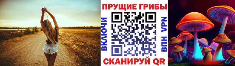 Псилоцибиновые грибы Psilocybe  Острогожск 