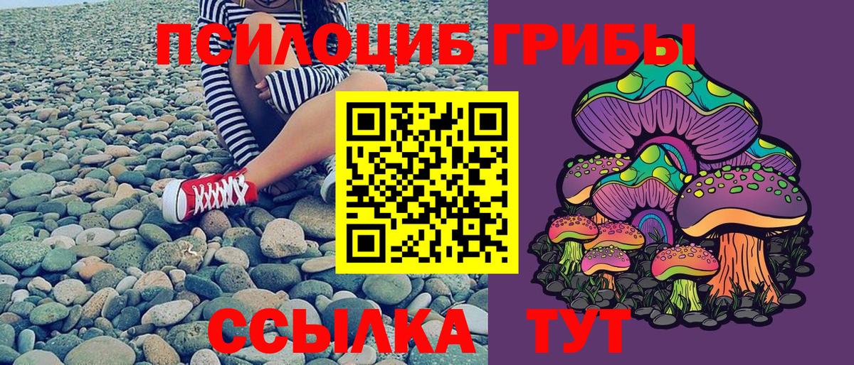 Острогожск  Псилоцибиновые грибы Psilocybe  Вход с VPN 